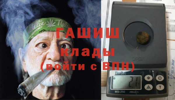 прущие грибы Алзамай