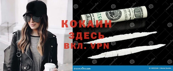 ПСИЛОЦИБИНОВЫЕ ГРИБЫ Абаза