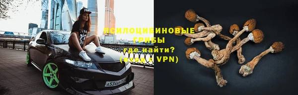 прущие грибы Алзамай