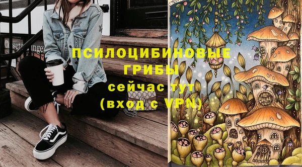 крисы Алексин