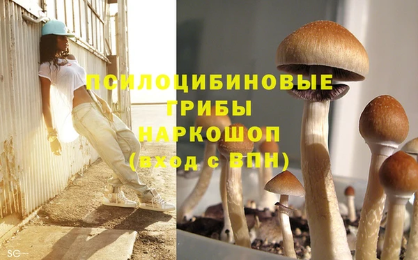 крисы Алексин