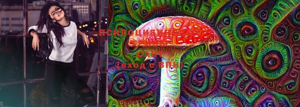 прущие грибы Алзамай