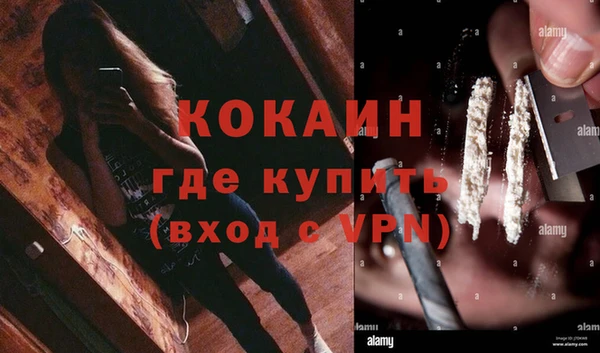 крисы Алексин