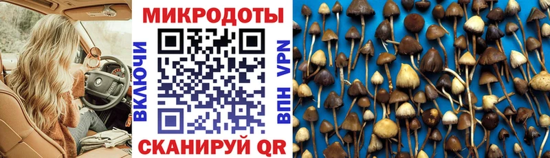 Галлюциногенные грибы мицелий  Анапа 