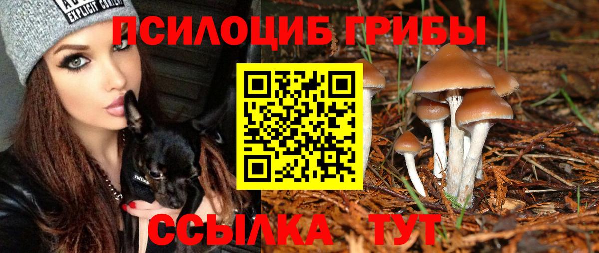 Галлюциногенные грибы Psilocybine cubensis Анапа